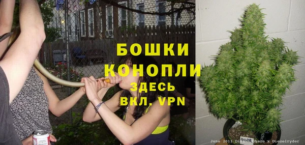 круглые Вяземский