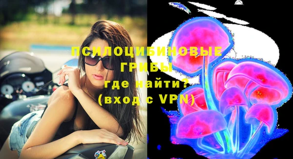 круглые Вяземский