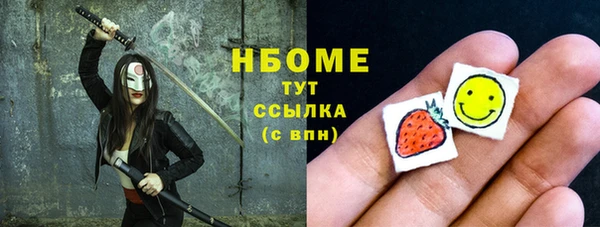 прущие грибы Горняк