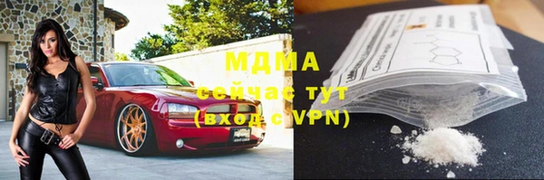 прущие грибы Горняк